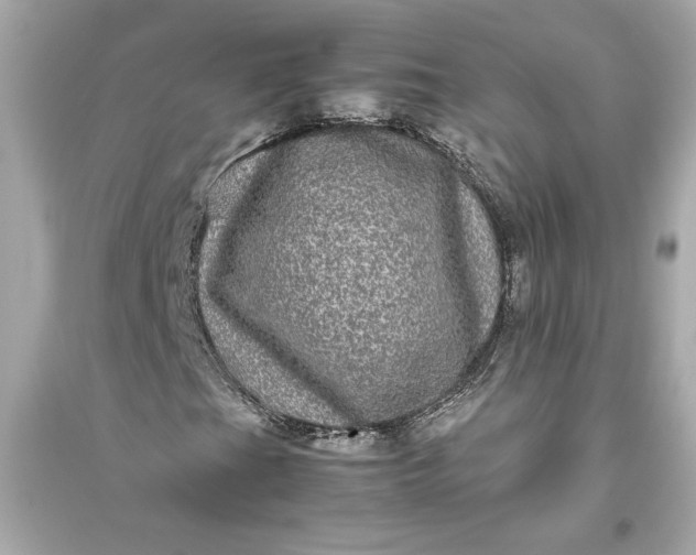 X0000094821201200711301622