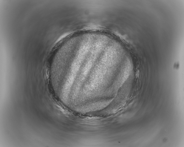 X0000094821206200711301622