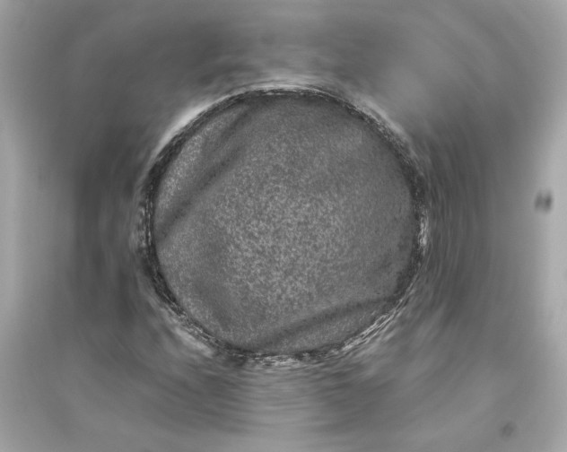 X0000094821208200711301622