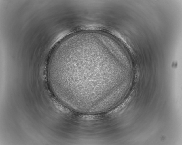 X0000094821211200711301622