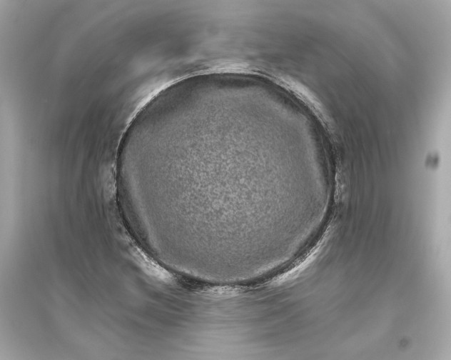 X0000094821212200711301622