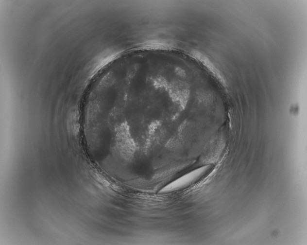 X0000094821213200711301622