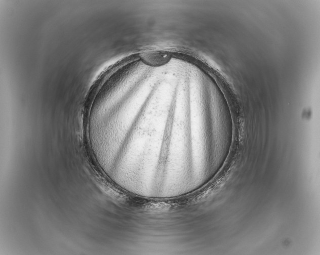 X0000094821214200711301622