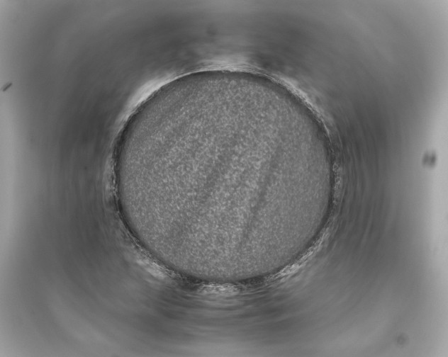 X0000094821215200711301622