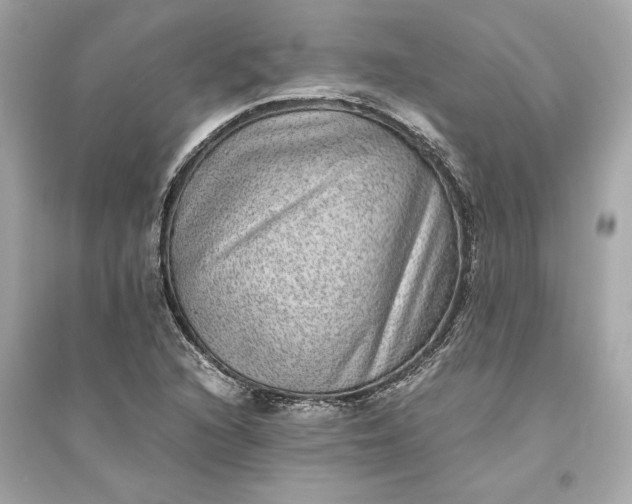 X0000094821216200711301622