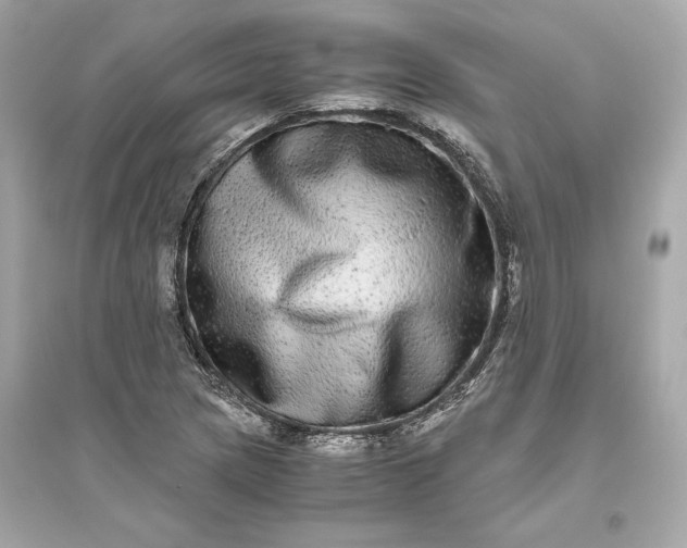 X0000094821217200711301622