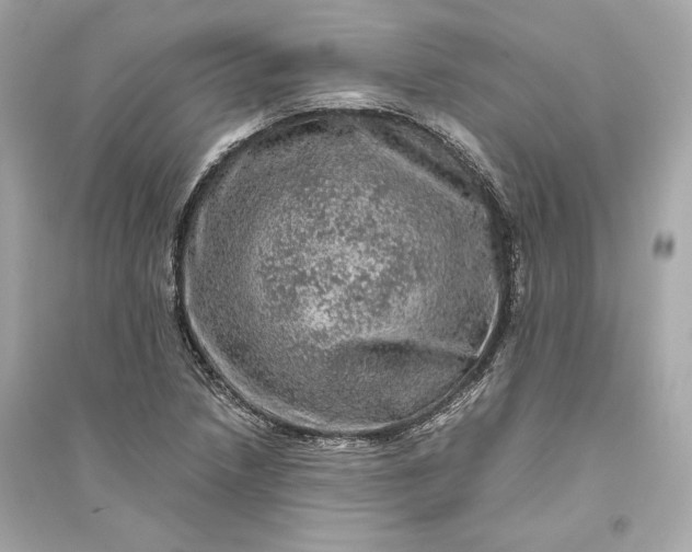 X0000094821218200711301622