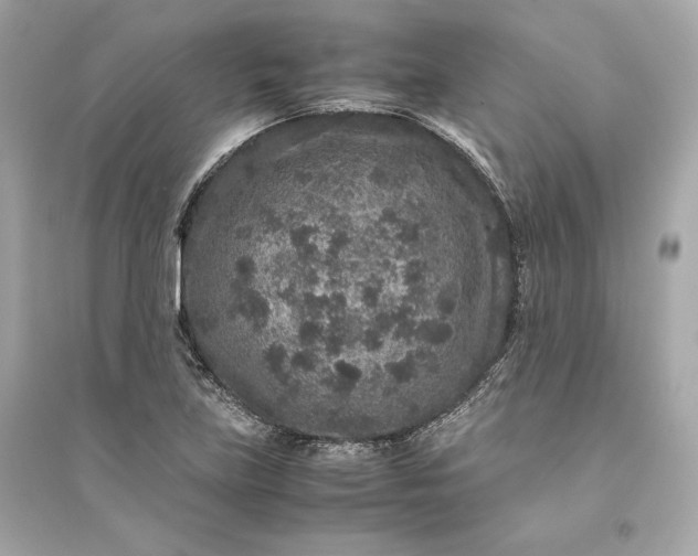 X0000094821219200711301622