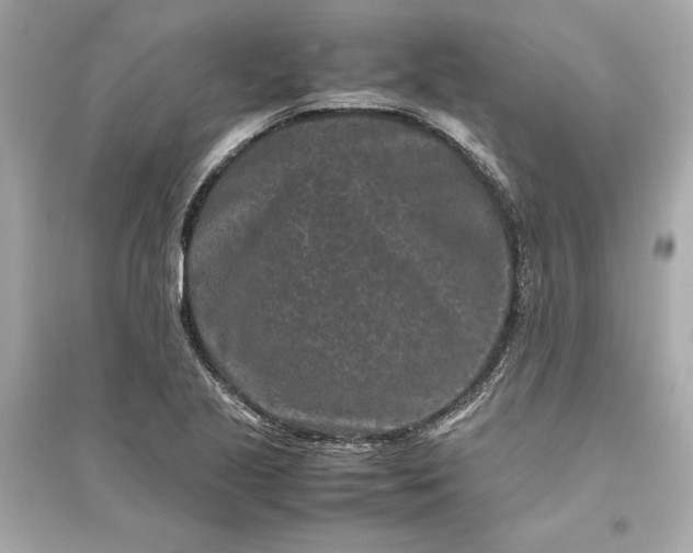 X0000094821221200711301622