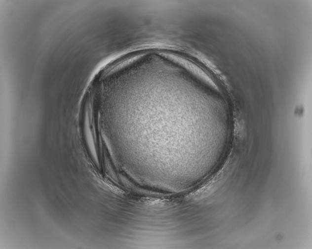 X0000094821222200711301622