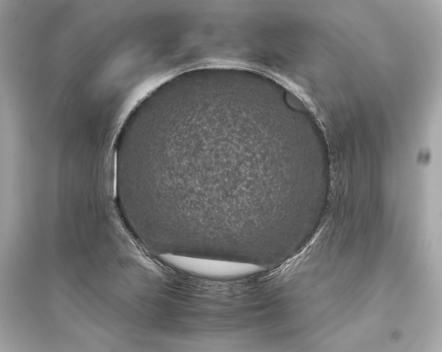 X0000094821223200711301622