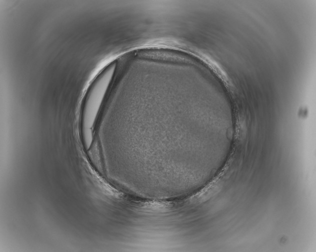 X0000094821224200711301622