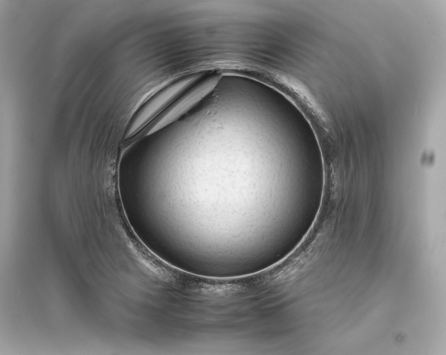 X0000094821225200711301622