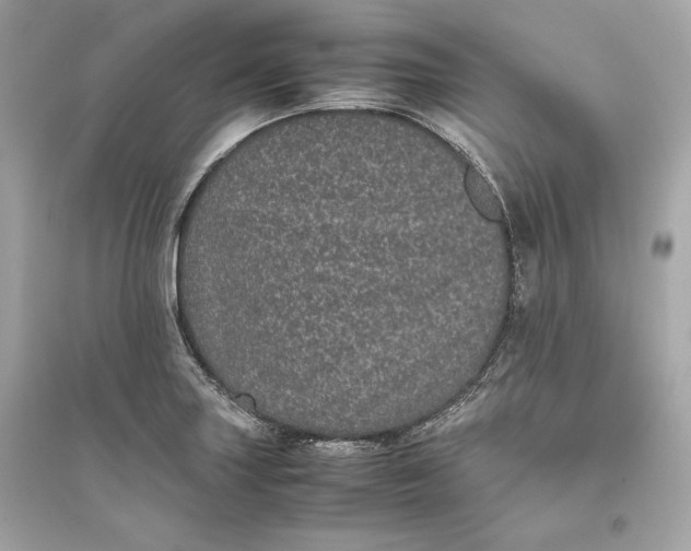 X0000094821227200711301622