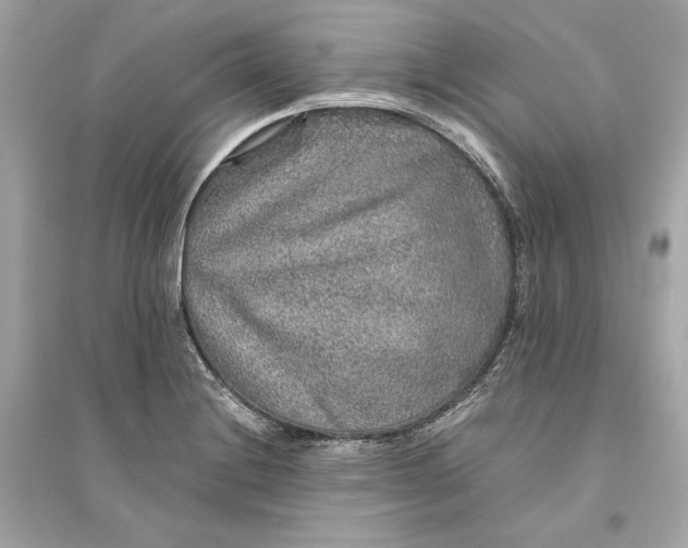 X0000094821228200711301622