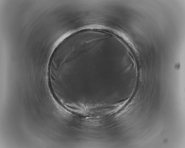 X0000094821229200711301623