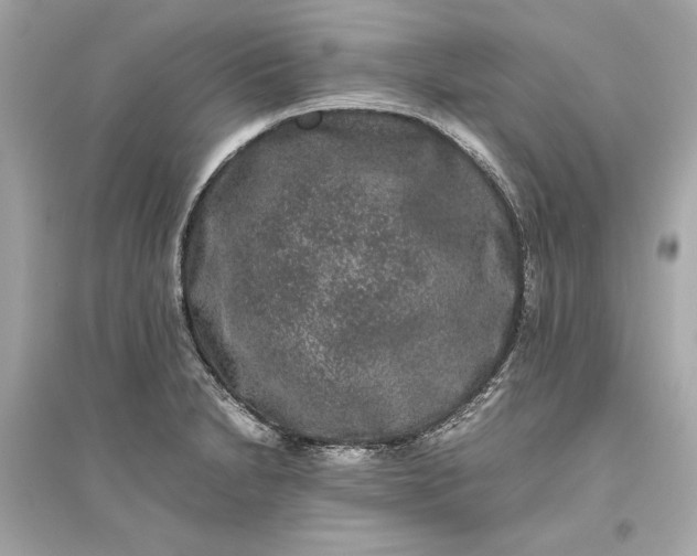 X0000094821230200711301623