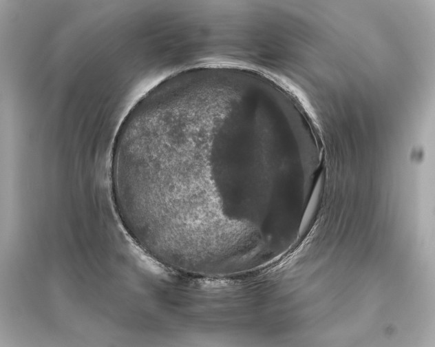 X0000094821231200711301623