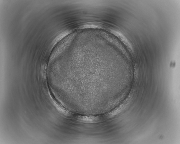 X0000094821233200711301623