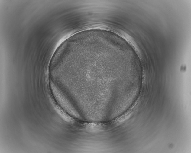 X0000094821234200711301623