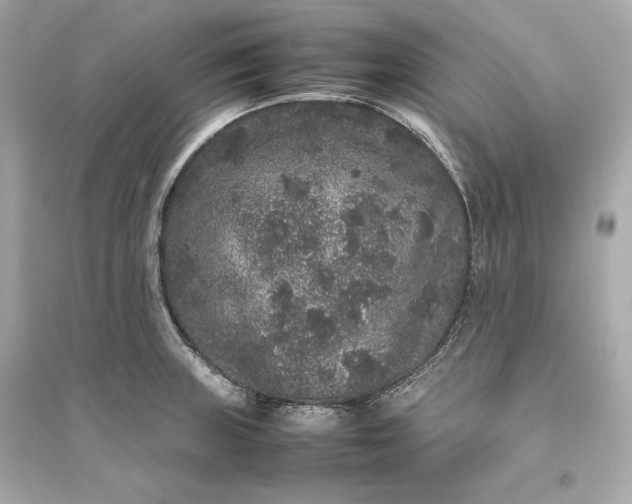 X0000094821235200711301623