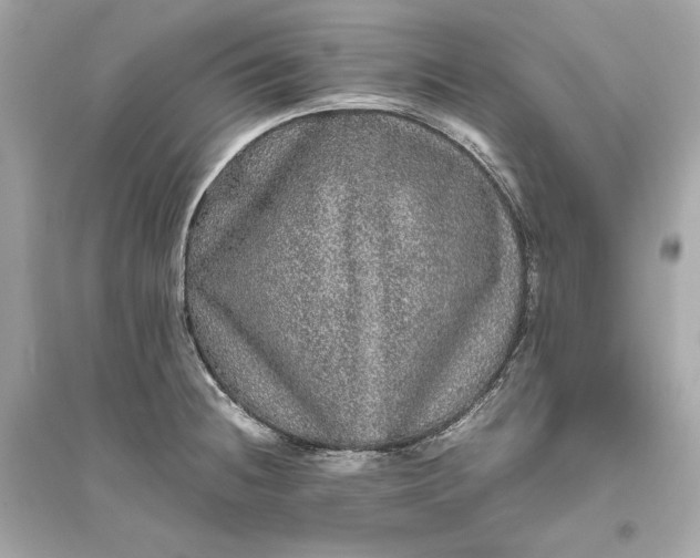 X0000094821236200711301623