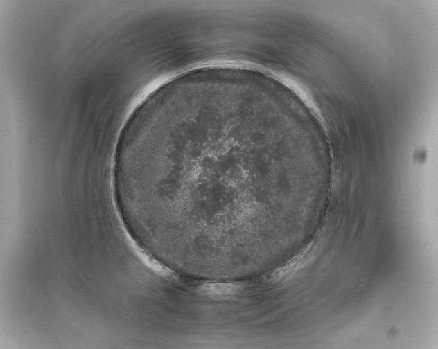 X0000094821237200711301623