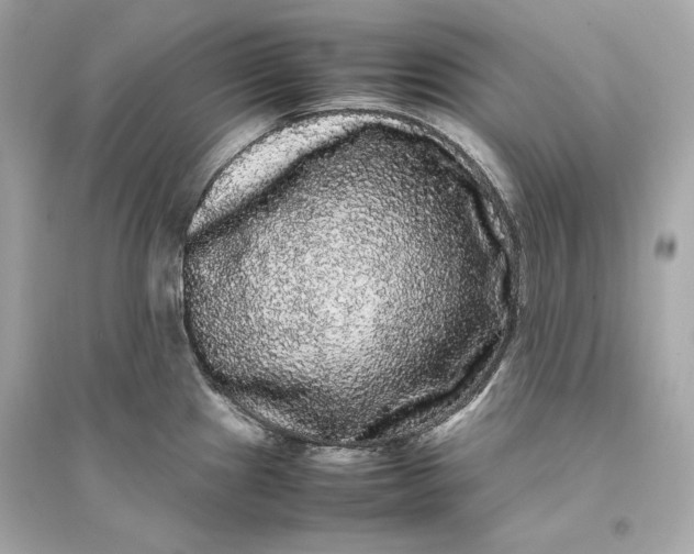 X0000094821241200711301623