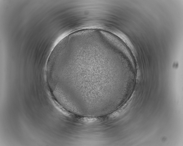 X0000094821242200711301623