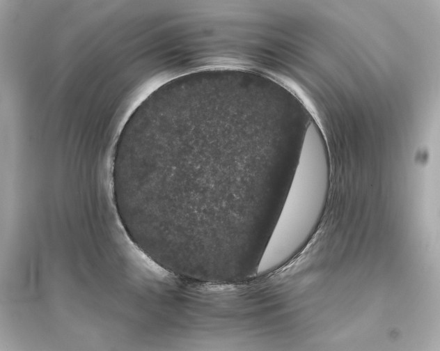 X0000094821243200711301623