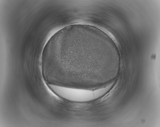 X0000094821247200711301623