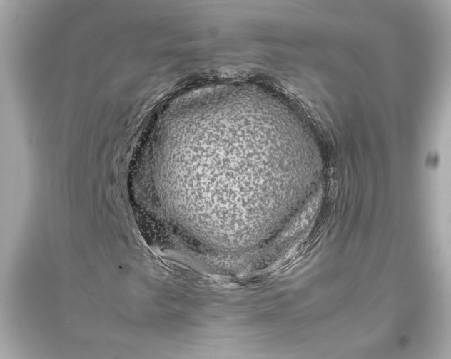 X0000094821249200711301622