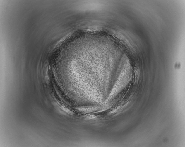 X0000094821250200711301622