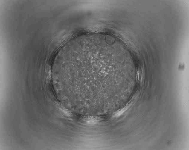 X0000094821251200711301622