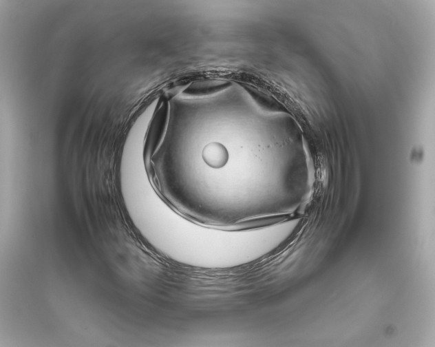 X0000094821252200711301622