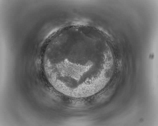 X0000094821254200711301622