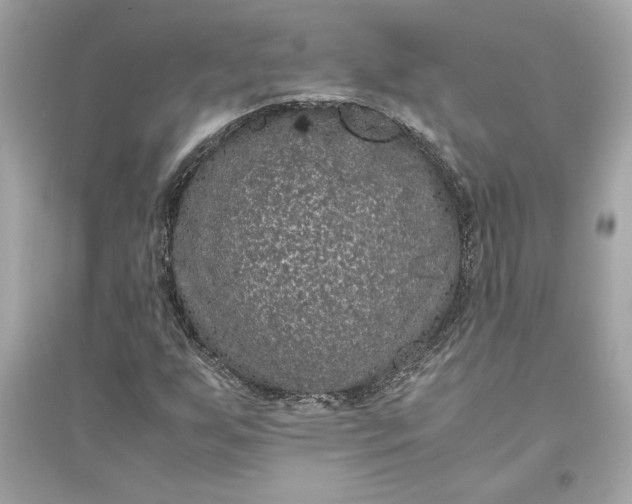 X0000094821255200711301622