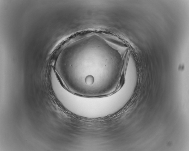 X0000094821256200711301622