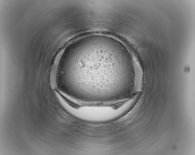 X0000094821257200711301622