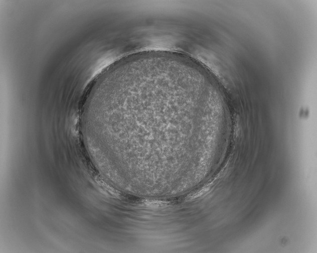 X0000094821258200711301622