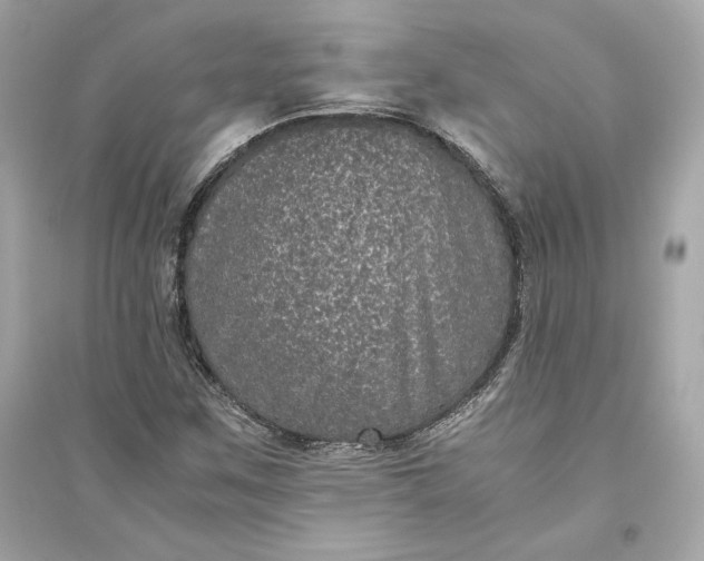 X0000094821259200711301622