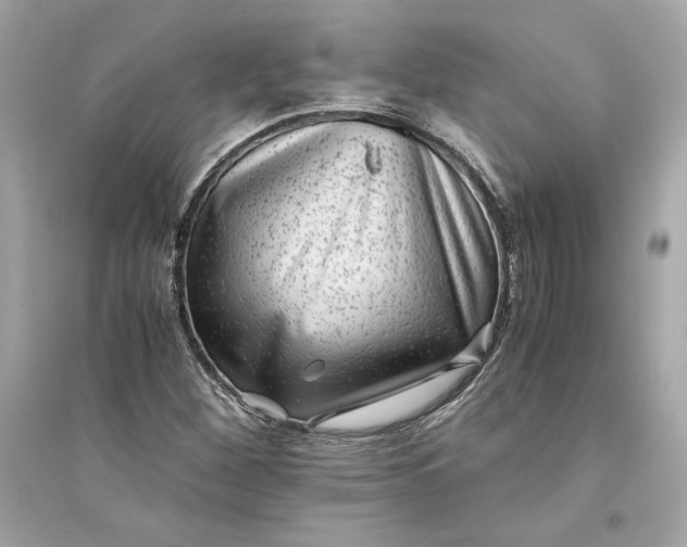 X0000094821260200711301622