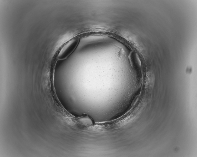 X0000094821261200711301622