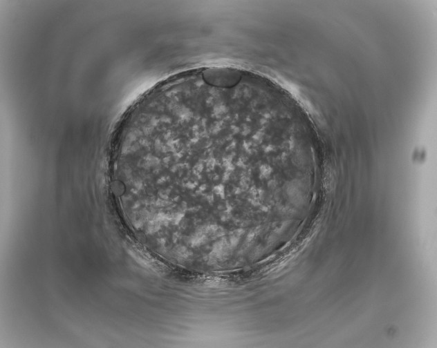 X0000094821263200711301622