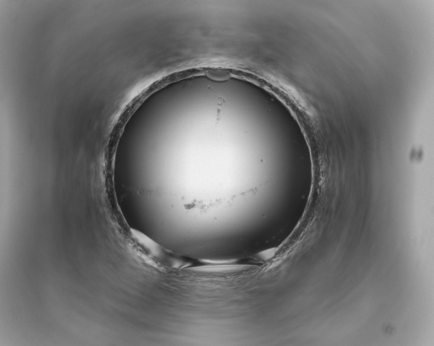 X0000094821264200711301622