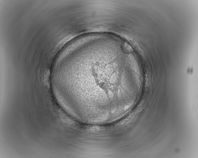 X0000094821265200711301622