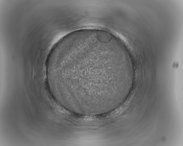 X0000094821267200711301622