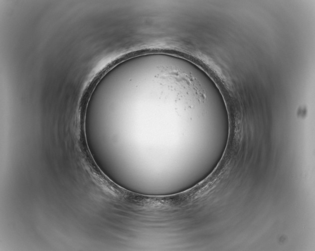 X0000094821270200711301622