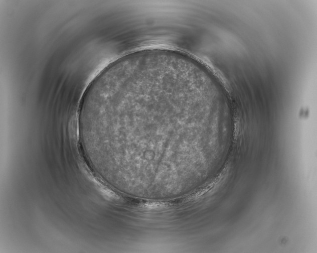 X0000094821274200711301622