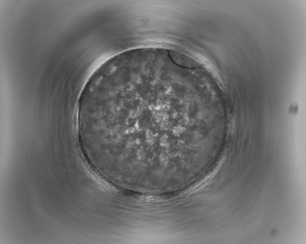 X0000094821275200711301622